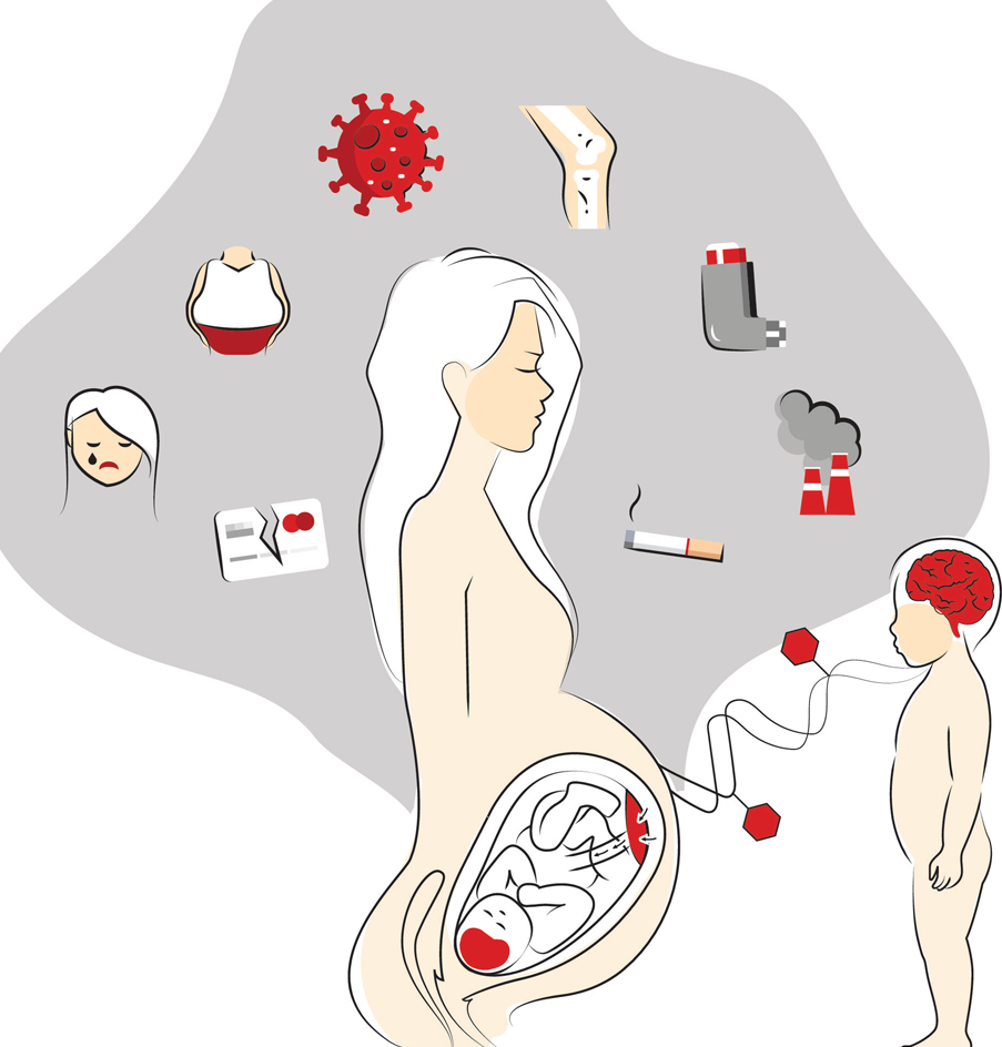 Perinatal factors influence ASD risk