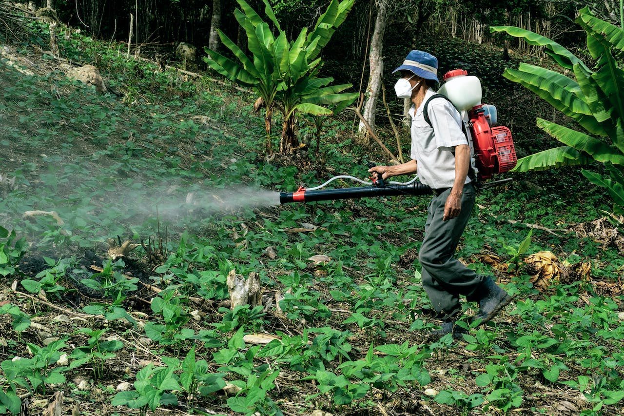 Pesticides and Autism