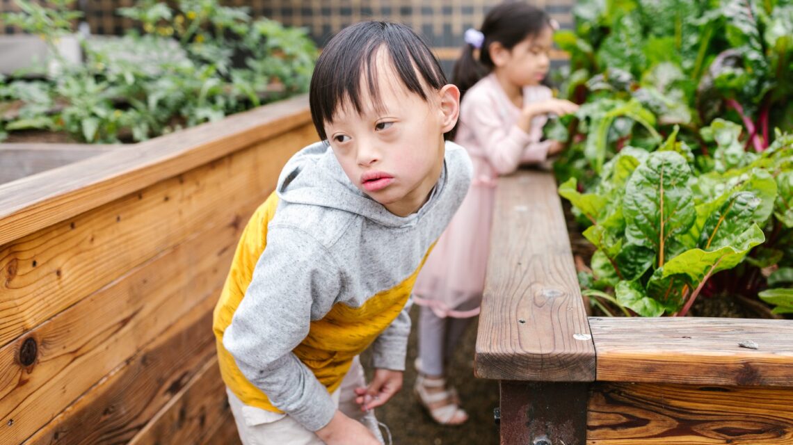 The Effect of Pesticides on Autism