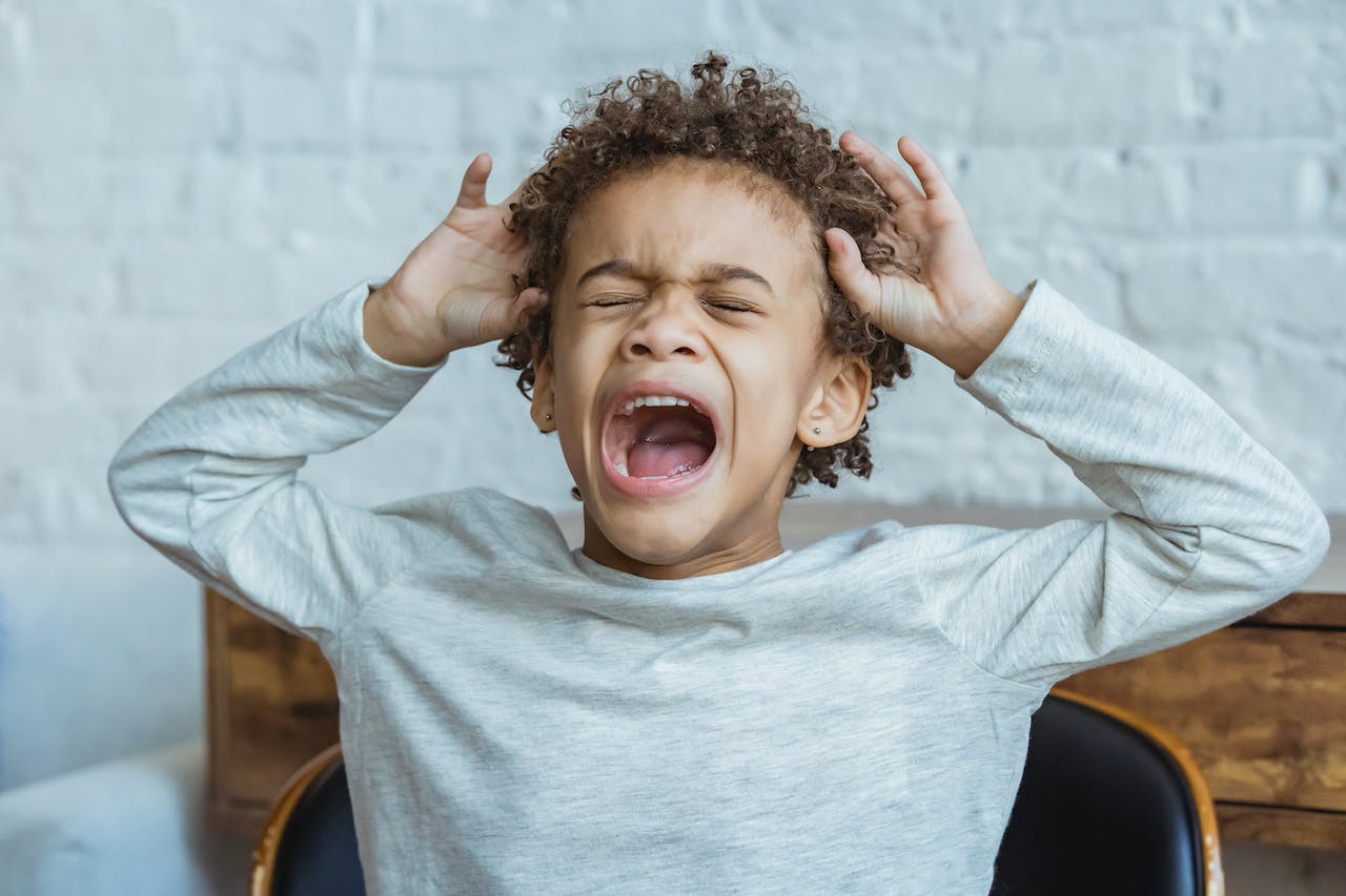 Screaming or Shouting individuals with ASD